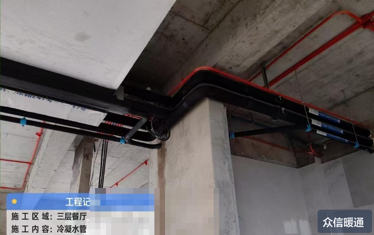 颐园别墅项目实景6